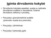 Dirvų kultūrinimas ir dirvožemio kokybė 