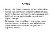 Dirvų kultūrinimas ir dirvožemio kokybė  13 puslapis