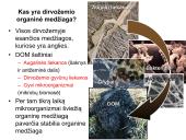 Dirvų kultūrinimas ir dirvožemio kokybė  15 puslapis