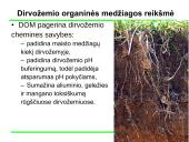 Dirvų kultūrinimas ir dirvožemio kokybė  17 puslapis