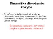 Dirvų kultūrinimas ir dirvožemio kokybė  2 puslapis