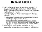 Dirvų kultūrinimas ir dirvožemio kokybė  20 puslapis