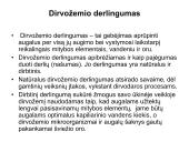 Dirvų kultūrinimas ir dirvožemio kokybė  3 puslapis