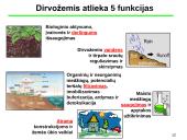Dirvų kultūrinimas ir dirvožemio kokybė  8 puslapis