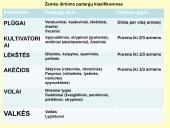 Žemės dirbimas. Skaidrės 6 puslapis