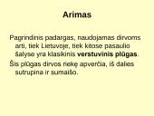 Žemės dirbimas. Skaidrės 8 puslapis