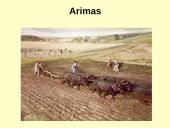 Žemės dirbimas. Skaidrės 9 puslapis