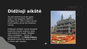 Skaidrės apie Briuselį, Belgiją 7 puslapis