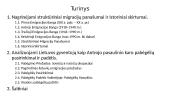 Pasaulio Lietuva: keturios emigracijos bangos ir diaspora pasaulyje XIX a. pab.–XXI a. pr.  2 puslapis