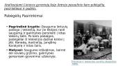 Pasaulio Lietuva: keturios emigracijos bangos ir diaspora pasaulyje XIX a. pab.–XXI a. pr.  11 puslapis
