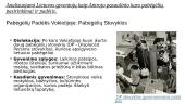 Pasaulio Lietuva: keturios emigracijos bangos ir diaspora pasaulyje XIX a. pab.–XXI a. pr.  12 puslapis