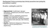 Pasaulio Lietuva: keturios emigracijos bangos ir diaspora pasaulyje XIX a. pab.–XXI a. pr.  13 puslapis
