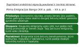 Pasaulio Lietuva: keturios emigracijos bangos ir diaspora pasaulyje XIX a. pab.–XXI a. pr.  3 puslapis