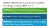 Pasaulio Lietuva: keturios emigracijos bangos ir diaspora pasaulyje XIX a. pab.–XXI a. pr.  4 puslapis