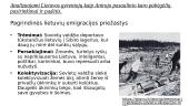 Pasaulio Lietuva: keturios emigracijos bangos ir diaspora pasaulyje XIX a. pab.–XXI a. pr.  10 puslapis