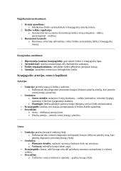 Žmogaus kraujotakos sistema. Konspektas 2 puslapis