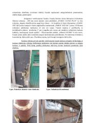 Pažintinė statybos darbų praktikos ataskaita 8 puslapis