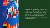 Skaidrės apie Europos sąjungą (pristatymas) 7 puslapis