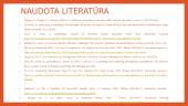 Lyderystė ir pokyčių valdymas 17 puslapis