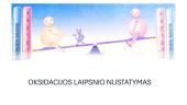 Oksidacijos laipsnio nustatymas