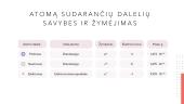 Atomai 7 puslapis