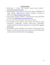 Regos fizika (referatas) 13 puslapis