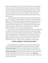 Regos fizika (referatas) 8 puslapis