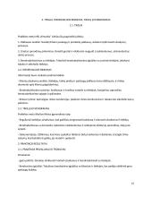 Praktika verslo įmonėje „MB Kimarita “ ataskaita 15 puslapis