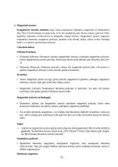 Kompiuterio atminties sistema. Atminties įrenginiai ir jų charakteristikos 19 puslapis