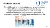 Užsienio skola (skaidrės) 17 puslapis