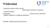 Užsienio skola (skaidrės) 3 puslapis