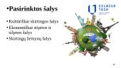 Užsienio skola (skaidrės) 7 puslapis