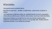 Išoriniai kompiuterio įtaisai, jų paskirtis ir funkcijos. Skaidrės 4 puslapis
