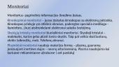 Išoriniai kompiuterio įtaisai, jų paskirtis ir funkcijos. Skaidrės 9 puslapis