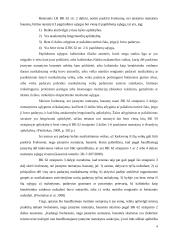 Švelnesnės nei įstatyme numatyta bausmės skyrimas 4 puslapis