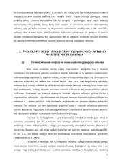 Švelnesnės nei įstatyme numatyta bausmės skyrimas 5 puslapis