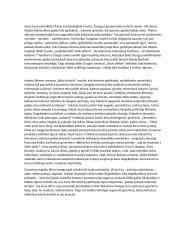 Tragiškas žmogaus likimas literatūroje 2 puslapis