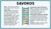 Klasikinė genetika, kryžminimo sąvokos 3 puslapis