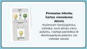 Klasikinė genetika, kryžminimo sąvokos 6 puslapis
