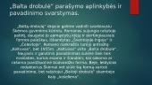 Pristatymas: Antanas Škėma 11 puslapis