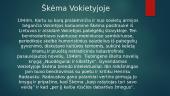 Pristatymas: Antanas Škėma 8 puslapis