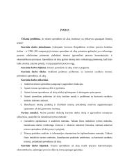 Teismo sprendimo už akių esmė ir prigimtis 2 puslapis