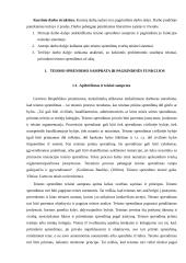 Teismo sprendimo už akių esmė ir prigimtis 3 puslapis