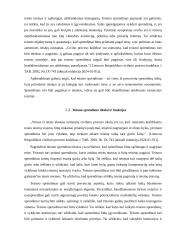 Teismo sprendimo už akių esmė ir prigimtis 4 puslapis