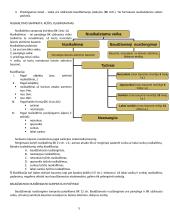 BT (baudžiamosios teisės) bendrosios dalies konspektas 5 puslapis