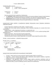 BT (baudžiamosios teisės) bendrosios dalies konspektas 7 puslapis