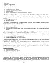 BT (baudžiamosios teisės) bendrosios dalies konspektas 10 puslapis