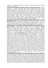 Ekonomika - įmonės tikslai ir funkcijos 3 puslapis