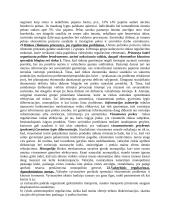 Ekonomikos teorijos mokslas 11 puslapis