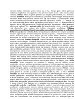 Ekonomikos teorijos mokslas 6 puslapis